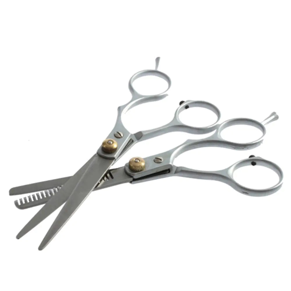 2 Professional Hair Cutting Shears for Stylists